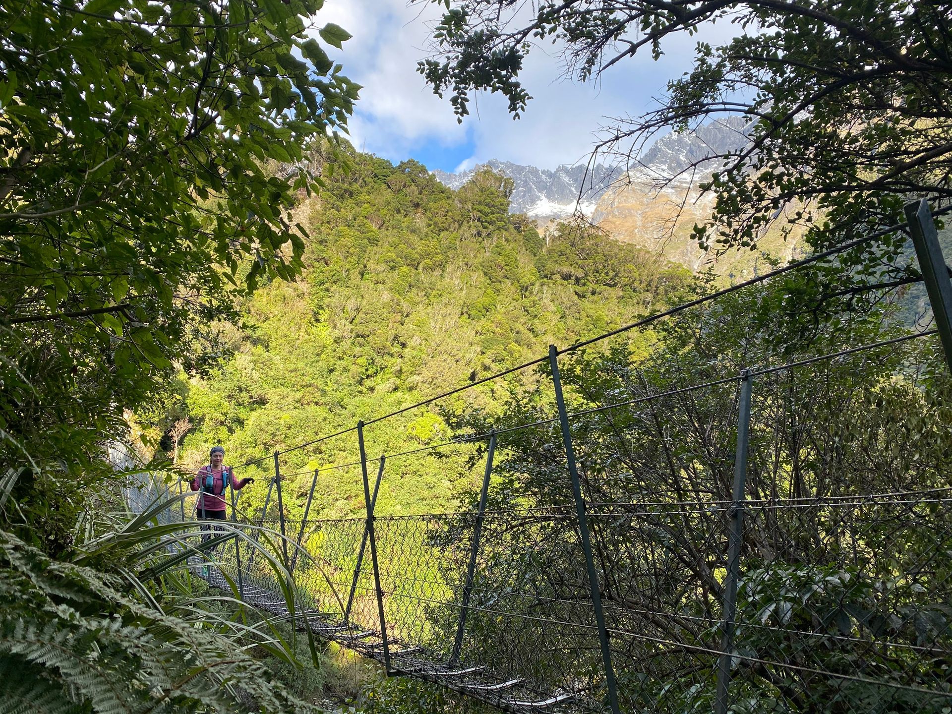 Westland District, West Coast, New Zealand / Aotearoa